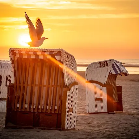 Drifthuus 1 Klein Prázdninový dům