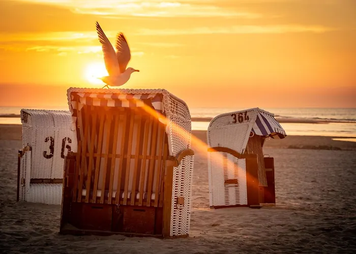 Drifthuus 1 Klein Дом отдыха